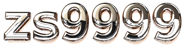 zs9999 logo